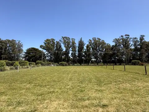 Terreno en Venta de 800,0 m2