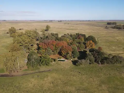 Campo en venta de 110 has en Mercedes