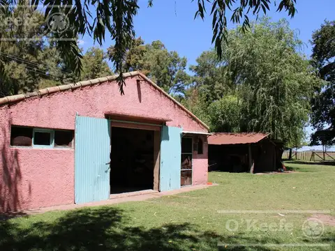 Campo en venta de 110 has en Mercedes