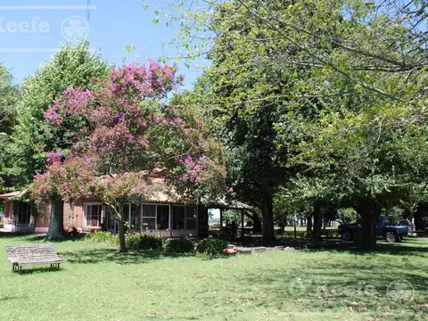 Campo en venta de 110 has en Mercedes