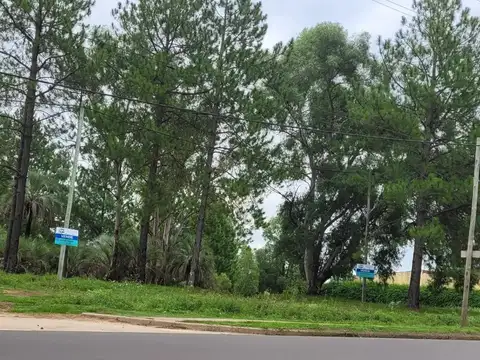 Terreno en Venta 21  mts Frente