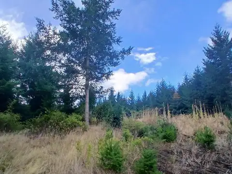 Terreno en Venta en Lago Puelo, Cushamen