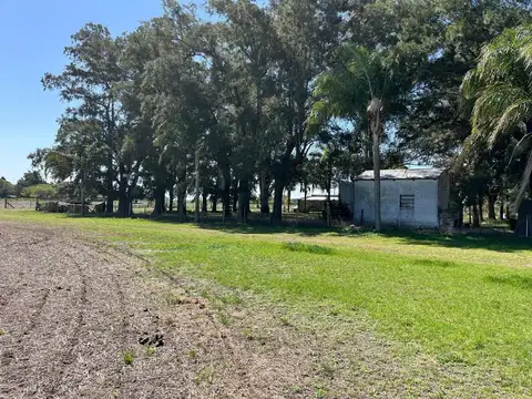 CAMPO AGRICOLA EN VENTA EN BARADERO