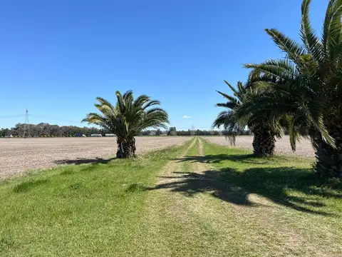 CAMPO AGRICOLA EN VENTA EN BARADERO