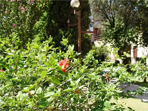 Departamento en Alquiler en Pilar Centro, $ 700.000