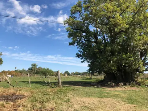 Terreno en Venta en Colonia Suiza, USD 45.000