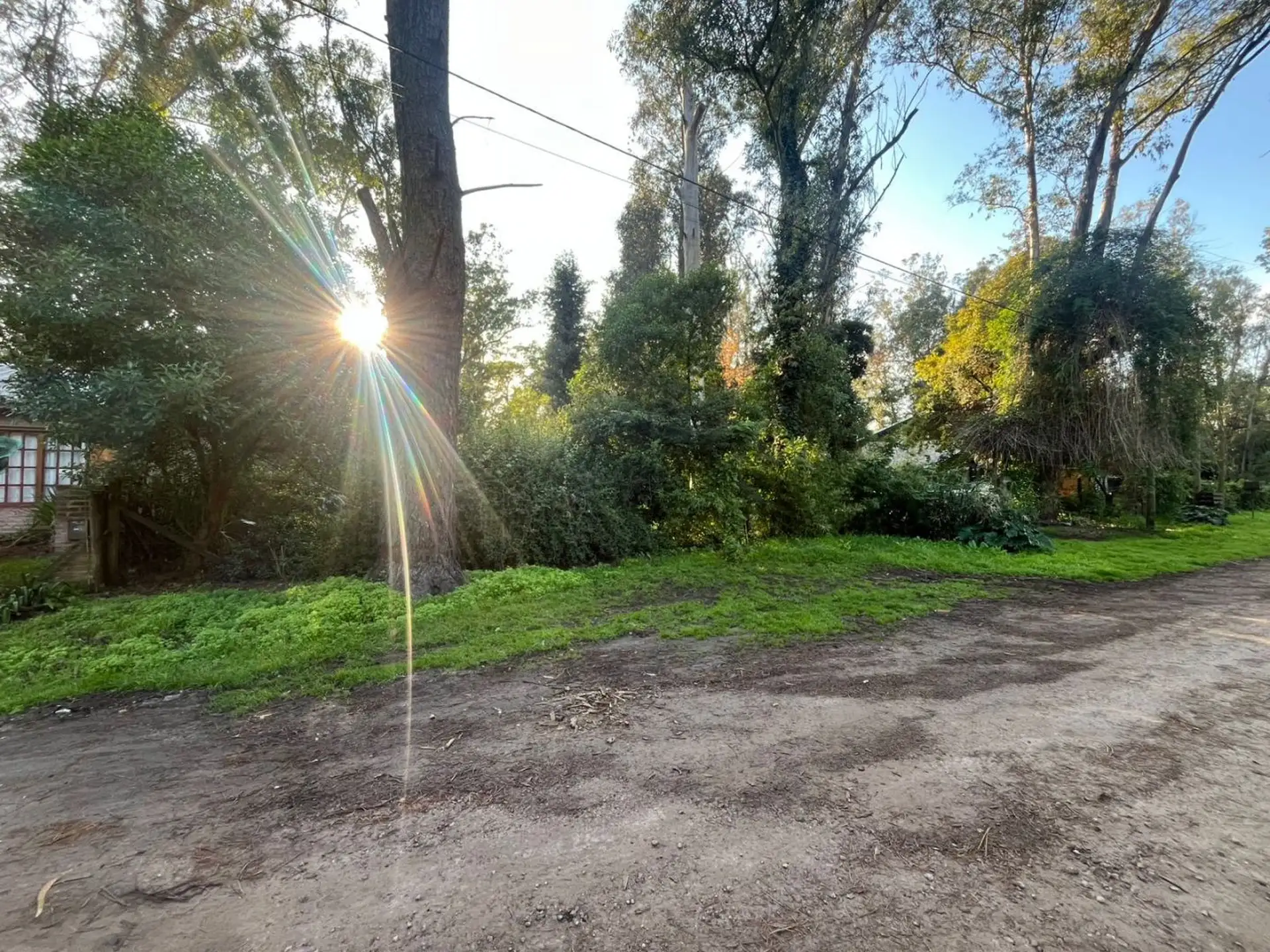 Terreno en venta forestado de 750 m² - Bosque Peralta Ramos