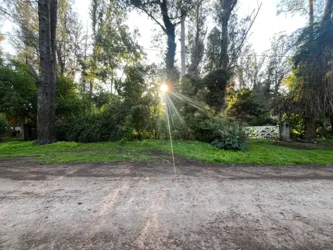 Terreno en Venta 50  mts Fondo