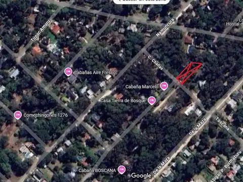 Lote en venta forestado de 750 m² - Bosque Peralta Ramos
