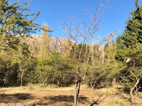 Terreno en Venta, FOT 40