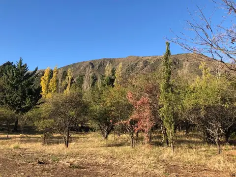 Terreno en Venta en Villa Elena, Chacabuco