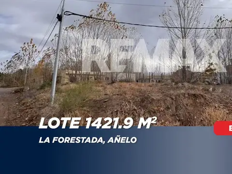 VENTA LOTE DE 1421 M2 UNIFICADO LA FORESTADA AÑELO