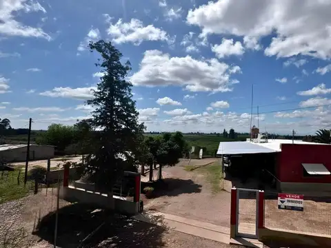 Venta Finca en Maipú