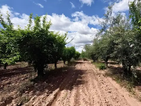 La Falda 200