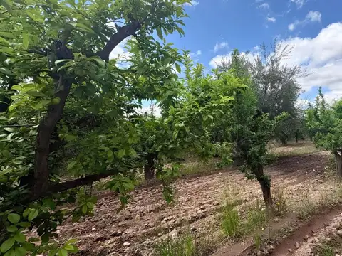 Venta Finca en Maipú