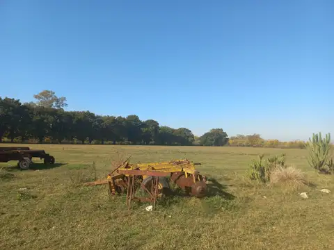 Campo en Venta de 11  ha