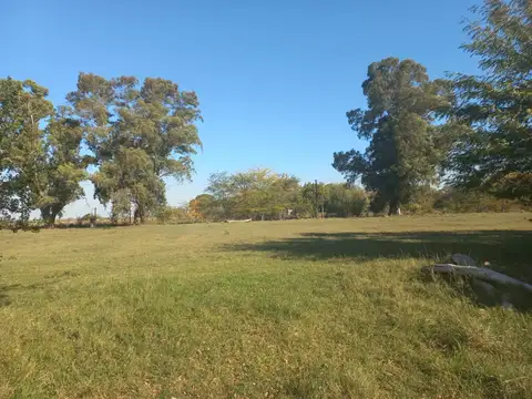 Campo en Venta con Alambrado