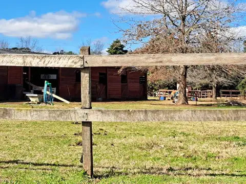 Casa en Alquiler con 1 cochera