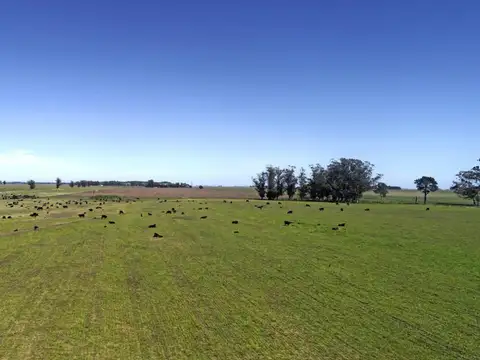 Campo en Mar del Plata