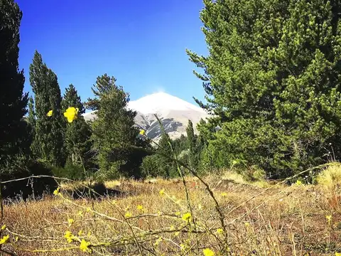 Terreno en Venta de 1224,0 m2