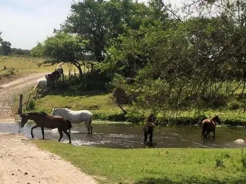 Las Bajadas - Valle Calamuchita Córdoba