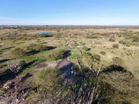 CAMPO EN VENTA, GOYA