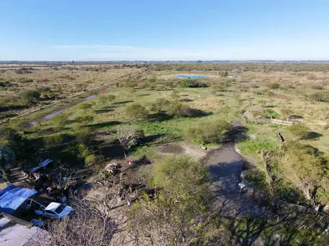 CAMPO EN VENTA, GOYA