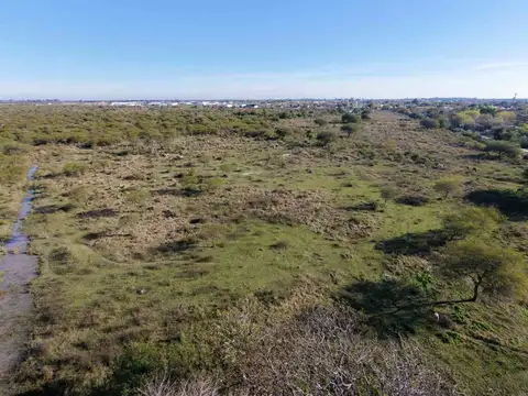 CAMPO EN VENTA, GOYA