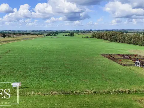 Ruta 39 km 25 100