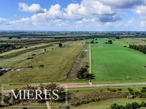 Campo en venta de 310 ha en Maldonado Ganadero/Agrícola