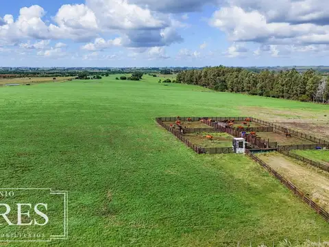 Campo en venta de 310 ha en Maldonado Ganadero/Agrícola