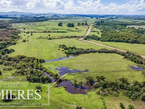 Campo en venta de 310 ha en Maldonado Ganadero/Agrícola