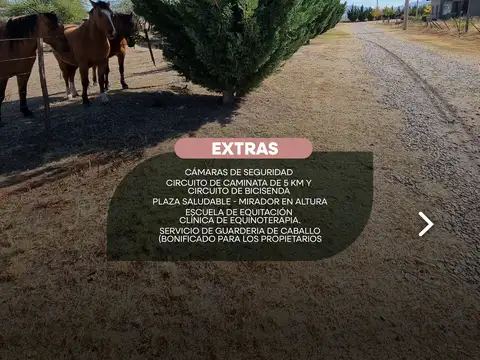 Terreno en Venta en Daniel Donovan, USD 27.000