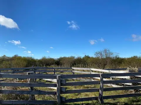Campo ganadero - federal entre rios