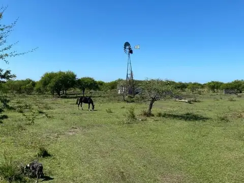 CAMPO GANADERO - FEDERAL ENTRE RIOS