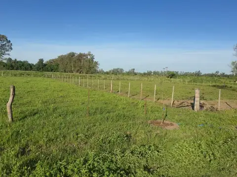 Ruta 47 y La Calandria