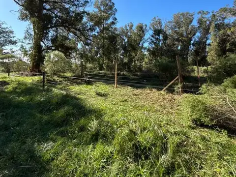 VENTA LOTE MIRAMAR Parque bristol