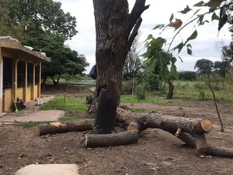 100, B3487 Zárate, 100