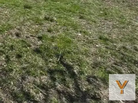 Terreno en Venta 12  mts Frente