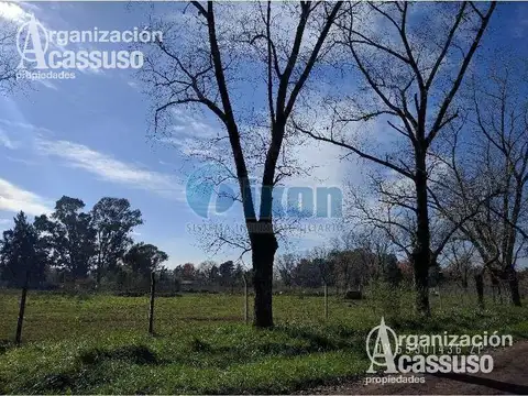 LOS JAZMINES al 0 - Del Viso