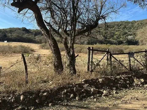 Terreno en Venta de 800,0 m2