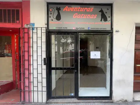 Ayacucho  al 1000