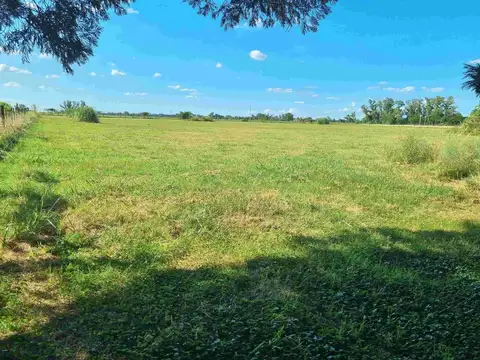 Terreno en Venta en Torres, USD 79.000