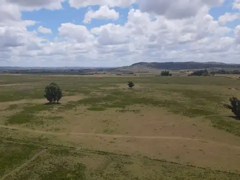 Venta de Chacras 3 y 4 hectáreas en corte de la leña