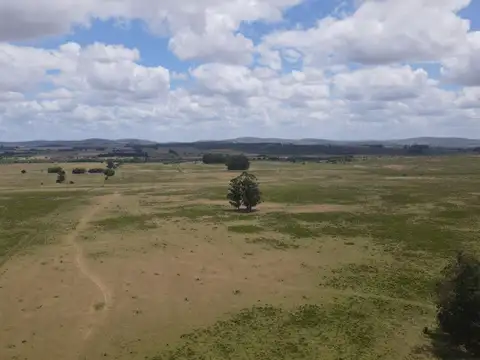Venta de Chacras 3 y 4 hectáreas en corte de la leña