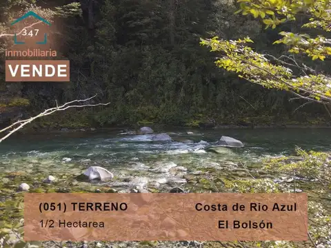 (051) EL BOLSON, Terreno de 1/2 Ha frente a camino con costa de Rio Azul