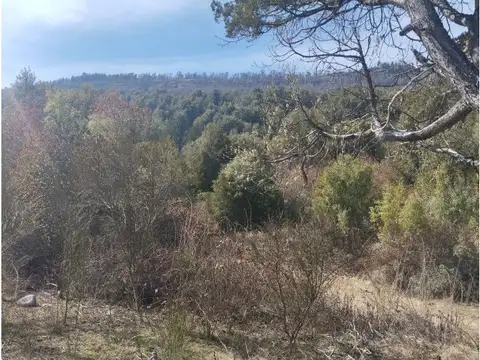 Terreno en Venta de 4500,0 m2