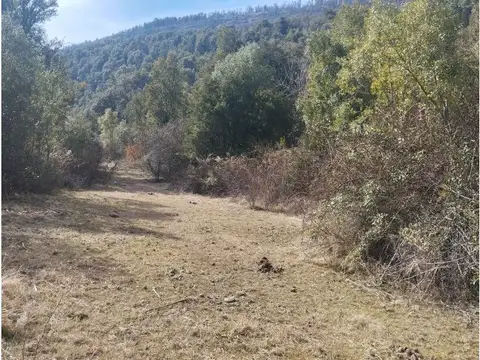 (051) EL BOLSON, Terreno de 1/2 Ha frente a camino con costa de Rio Azul