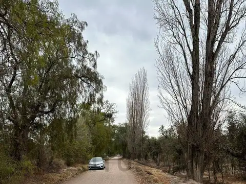 Lote en venta. Coquimbito. Maipú. Mendoza.