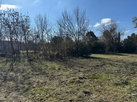Terreno en Venta 40  mts Fondo